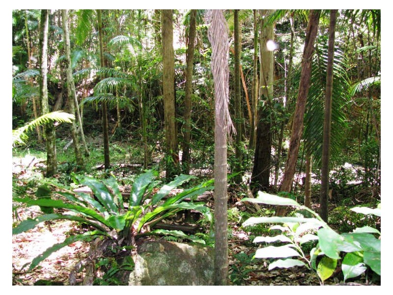 565 Commissioners Creek Road, Commissioners Creek NSW 2484