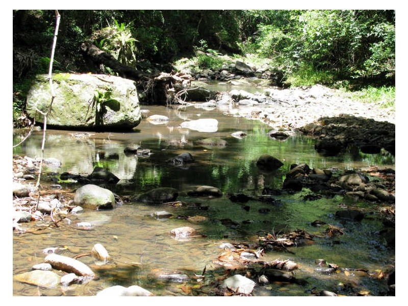 565 Commissioners Creek Road, Commissioners Creek NSW 2484