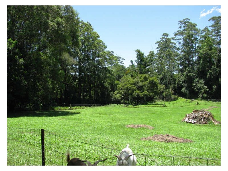 565 Commissioners Creek Road, Commissioners Creek NSW 2484