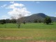 Murwillumbah NSW 2484