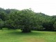 Mooball NSW 2483