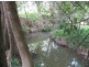 Murwillumbah NSW 2484
