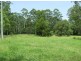 Murwillumbah NSW 2484