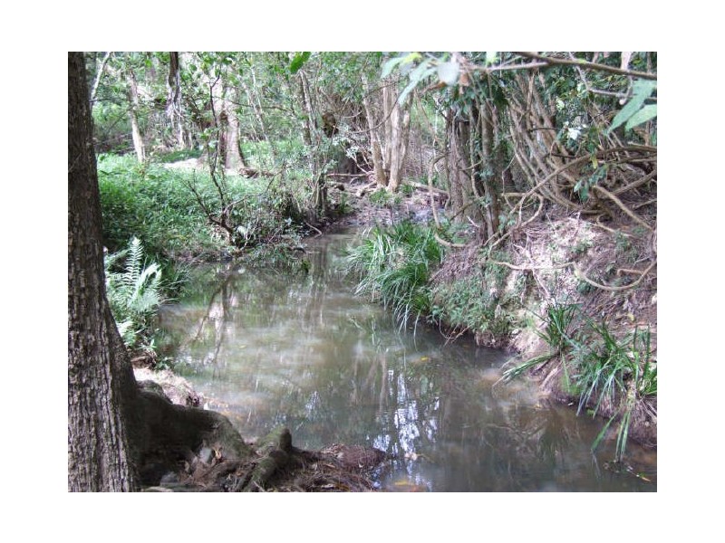 Murwillumbah NSW 2484