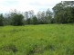 Murwillumbah NSW 2484