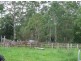 Murwillumbah NSW 2484