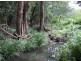 Murwillumbah NSW 2484