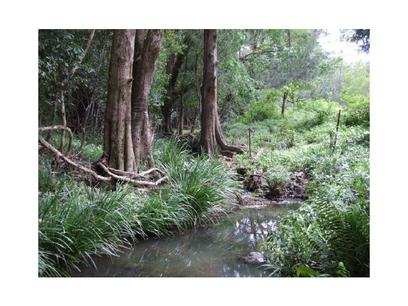Murwillumbah NSW 2484