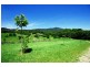 Murwillumbah NSW 2484