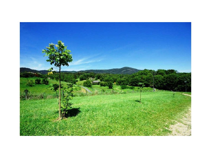 Murwillumbah NSW 2484