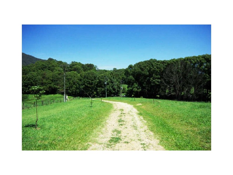 Murwillumbah NSW 2484