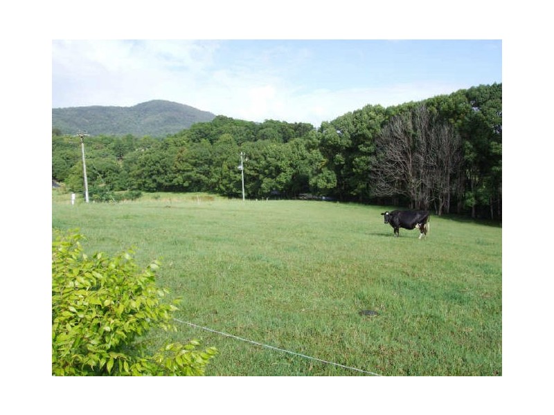 Murwillumbah NSW 2484