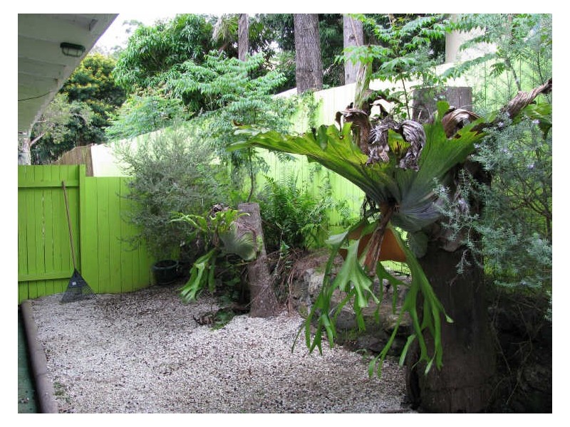 2 Rowlands Creek Road, Uki NSW 2484