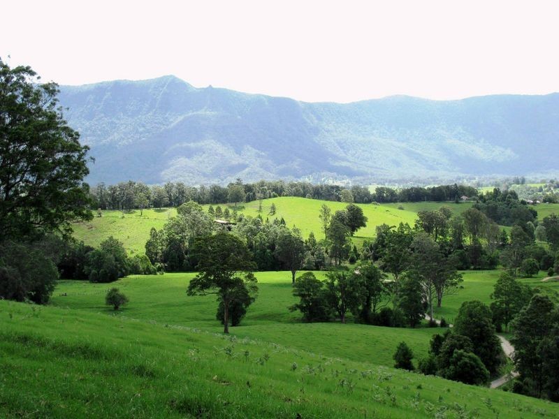 4 Jack Smith Road, Tyalgum NSW 2484