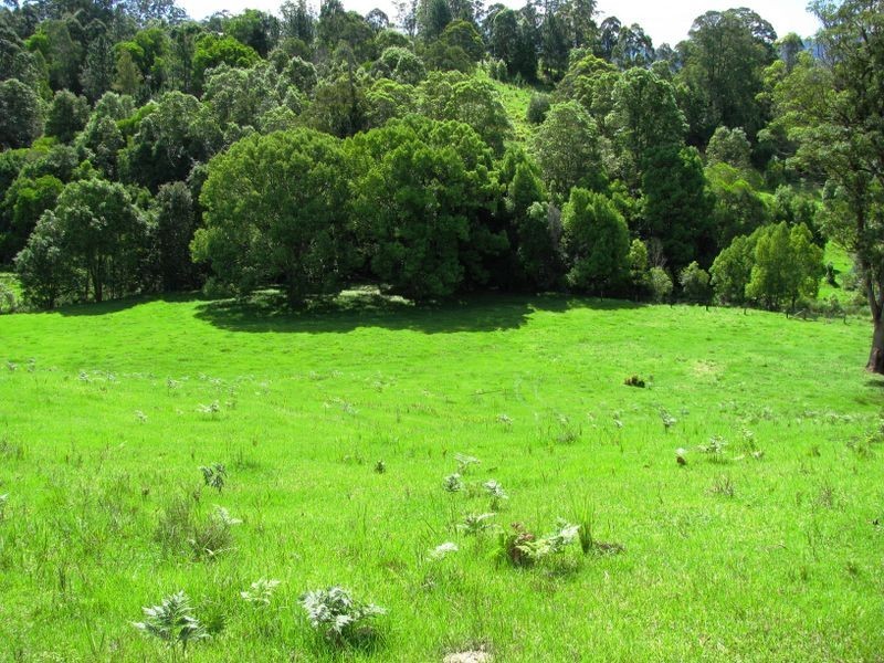 4 Jack Smith Road, Tyalgum NSW 2484