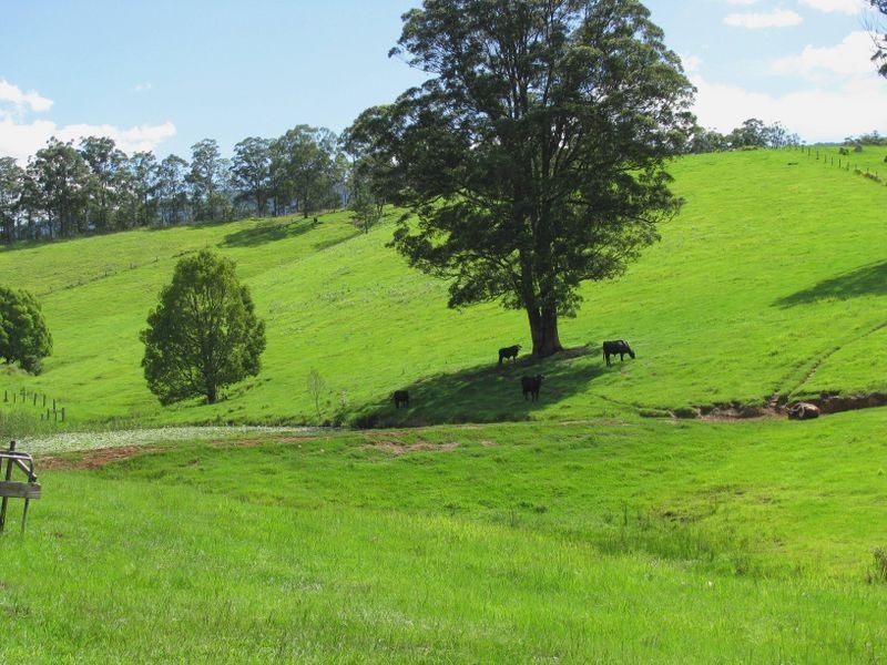 4 Jack Smith Road, Tyalgum NSW 2484