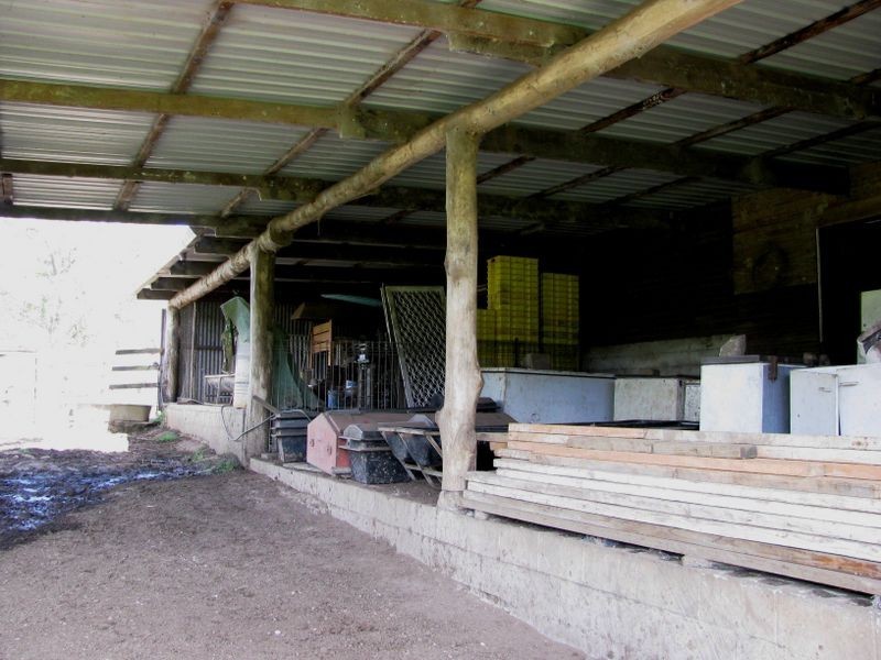 4 Jack Smith Road, Tyalgum NSW 2484