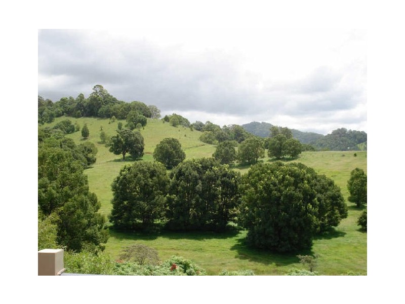 Murwillumbah NSW 2484