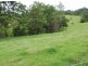 Murwillumbah NSW 2484