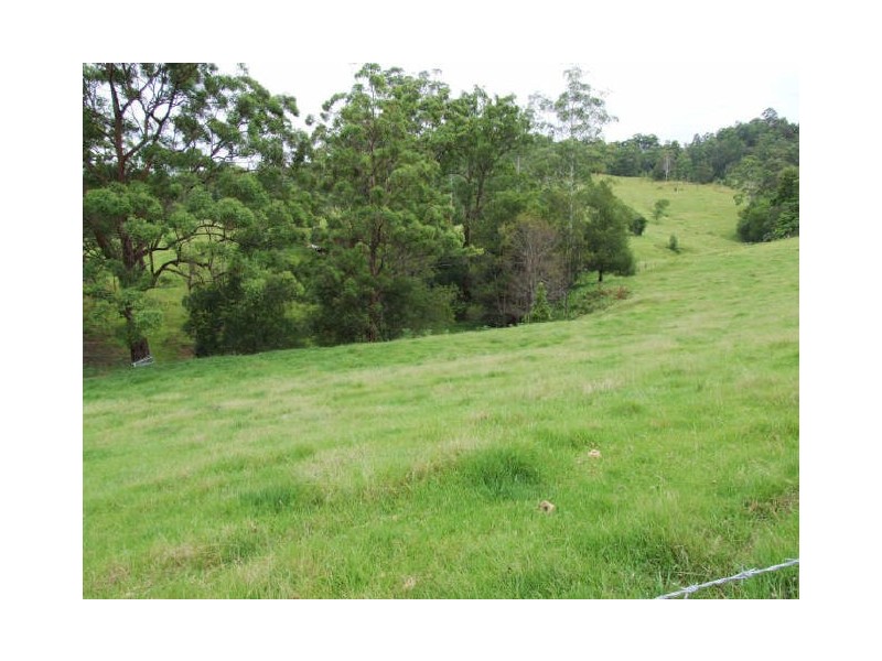 Murwillumbah NSW 2484