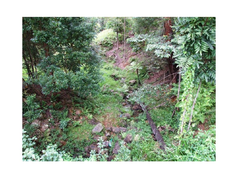 Murwillumbah NSW 2484