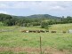 Murwillumbah NSW 2484