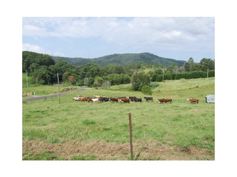 Murwillumbah NSW 2484