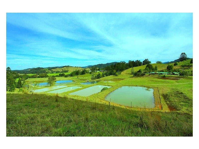 145-147 Pottsville Road, Mooball NSW 2483