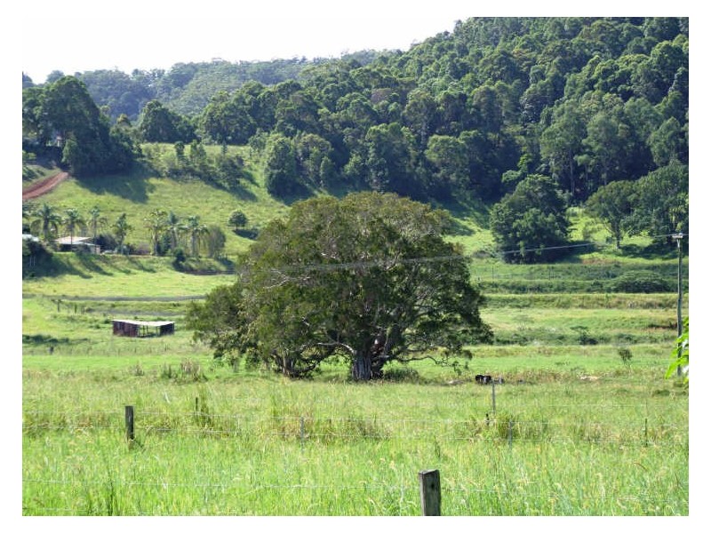 145-147 Pottsville Road, Mooball NSW 2483