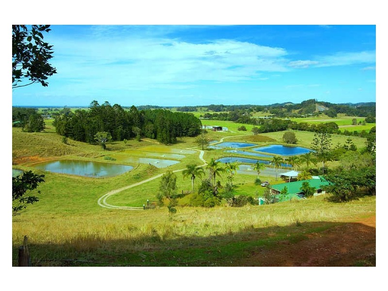 145-147 Pottsville Road, Mooball NSW 2483