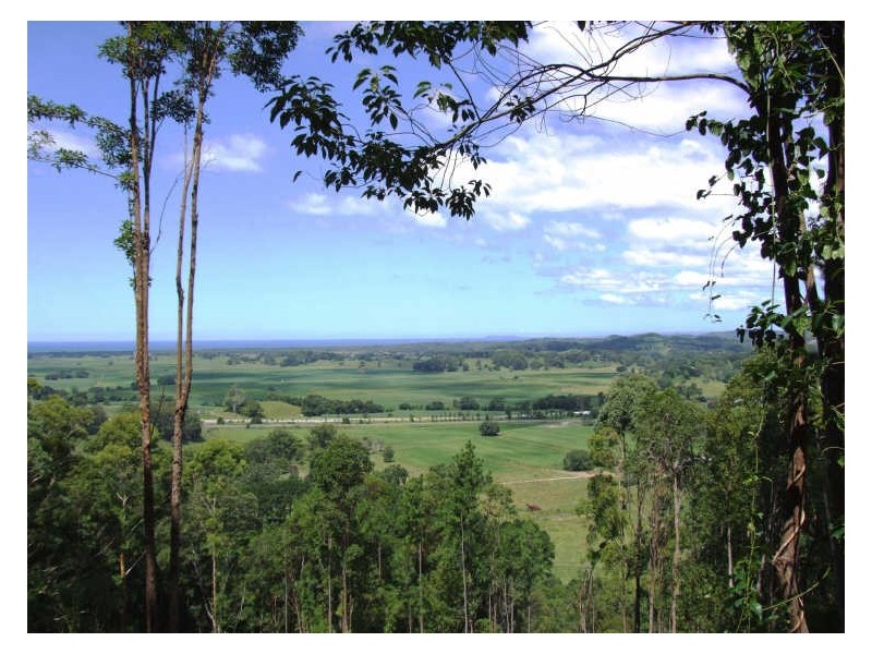 145-147 Pottsville Road, Mooball NSW 2483