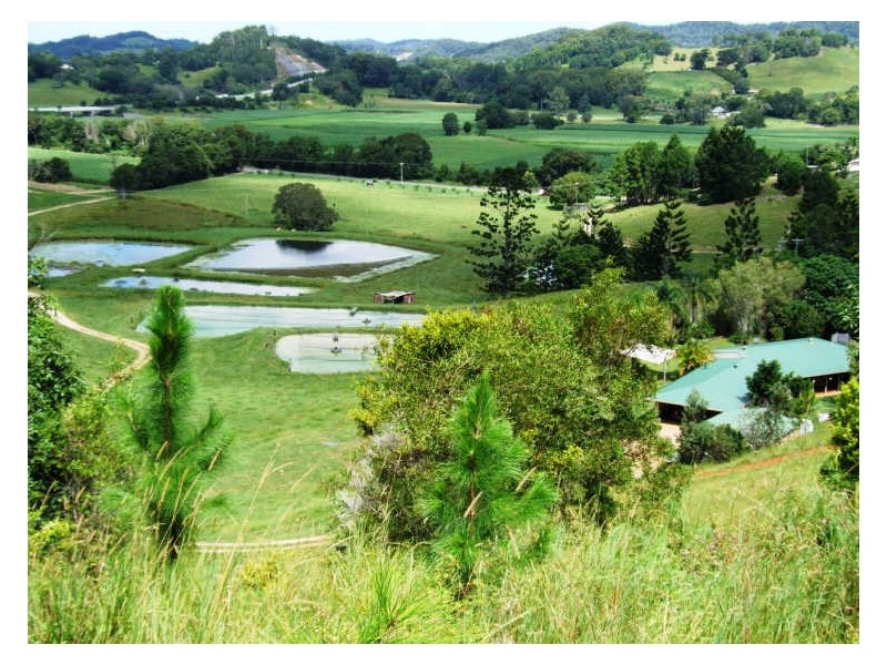 145-147 Pottsville Road, Mooball NSW 2483