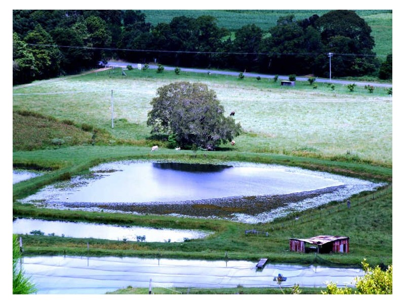 145-147 Pottsville Road, Mooball NSW 2483