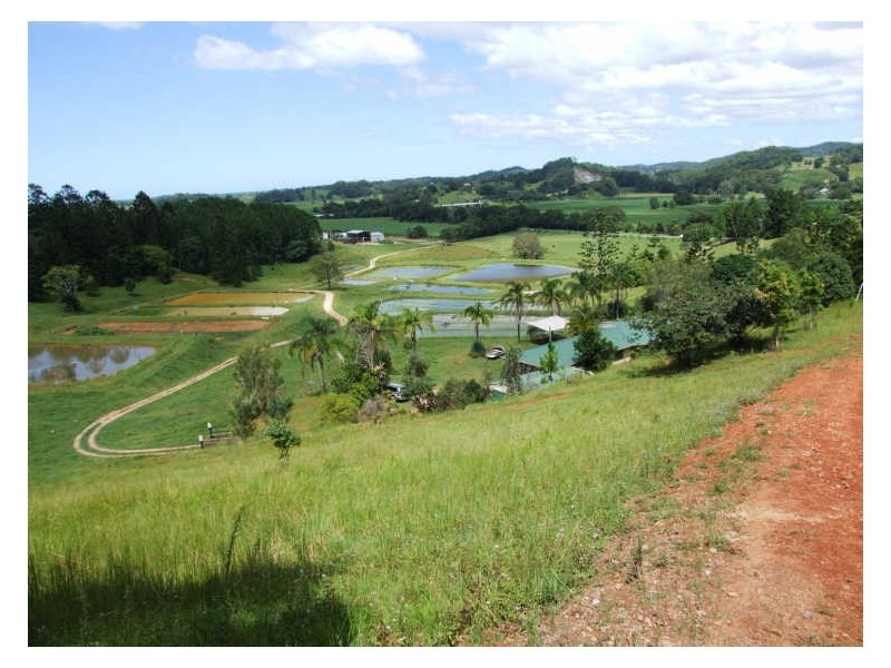 145-147 Pottsville Road, Mooball NSW 2483