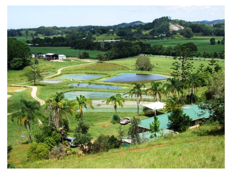 145-147 Pottsville Road, Mooball NSW 2483