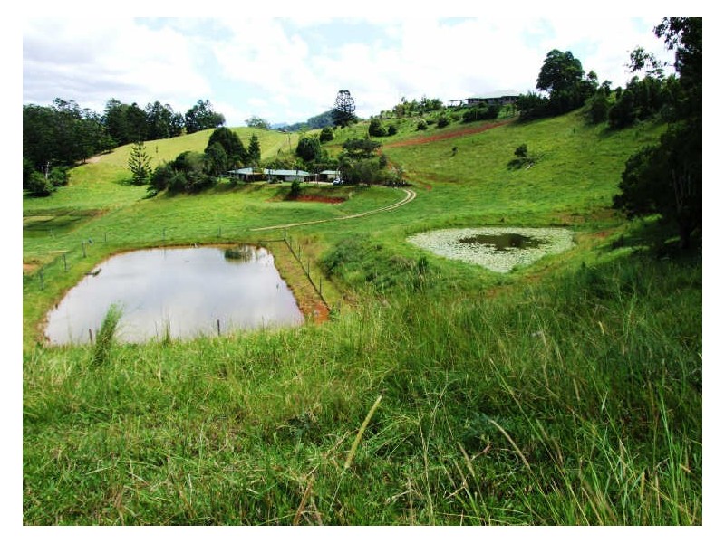 145-147 Pottsville Road, Mooball NSW 2483