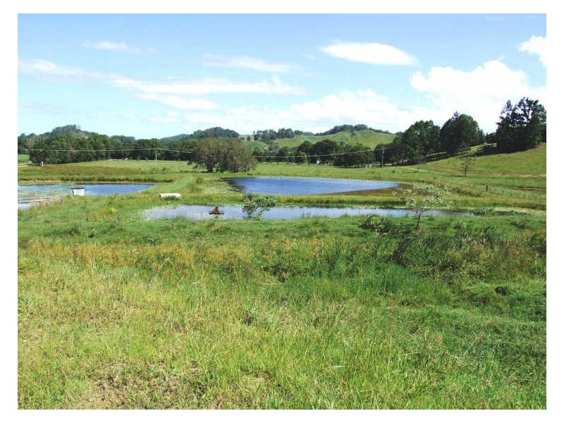 145-147 Pottsville Road, Mooball NSW 2483