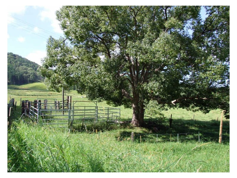 145-147 Pottsville Road, Mooball NSW 2483