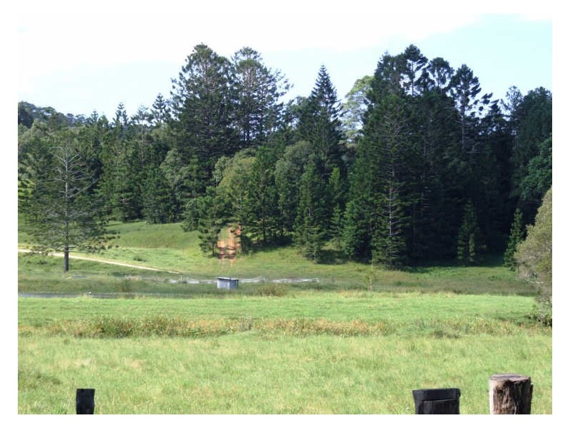 145-147 Pottsville Road, Mooball NSW 2483