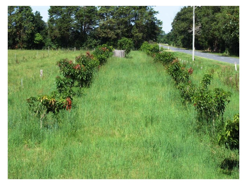 145-147 Pottsville Road, Mooball NSW 2483