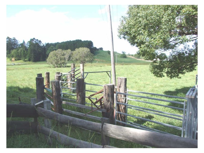 145-147 Pottsville Road, Mooball NSW 2483