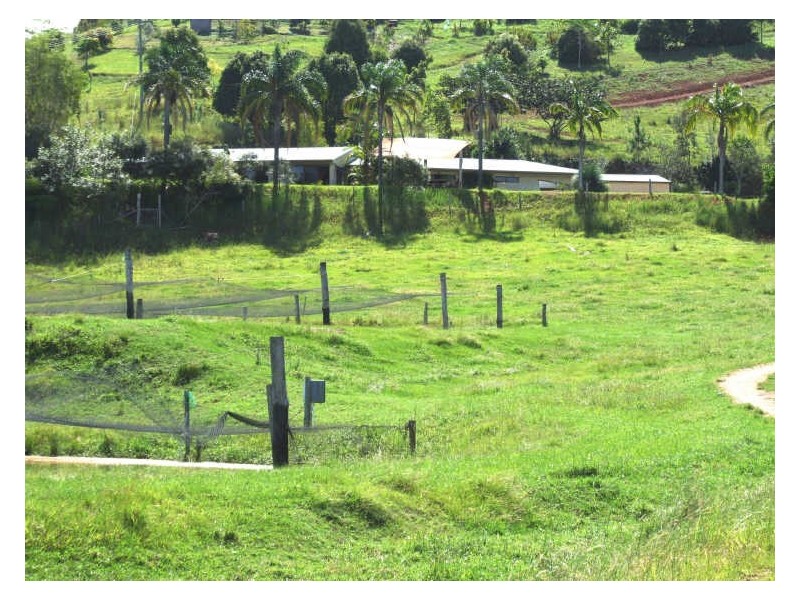 145-147 Pottsville Road, Mooball NSW 2483