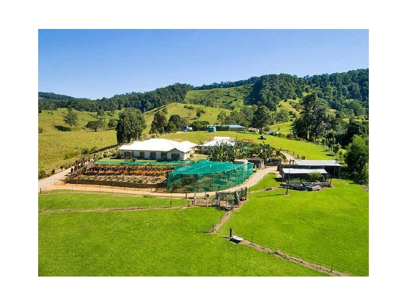 Murwillumbah NSW 2484