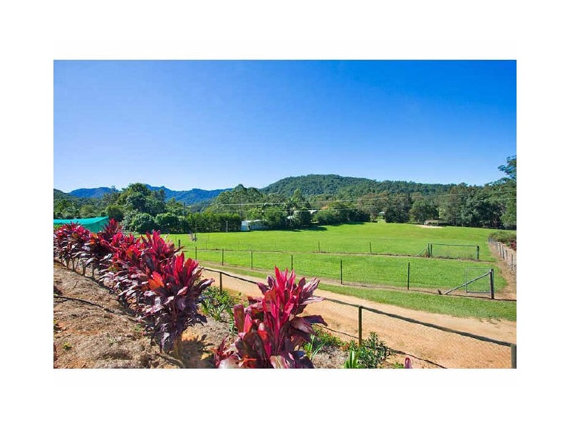 Murwillumbah NSW 2484