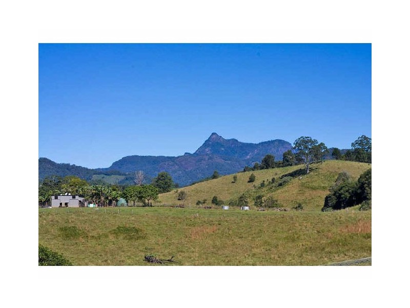 Murwillumbah NSW 2484