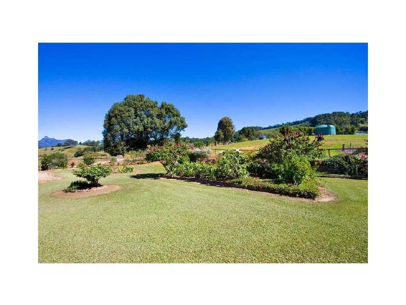 Murwillumbah NSW 2484