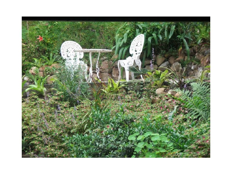 Murwillumbah NSW 2484