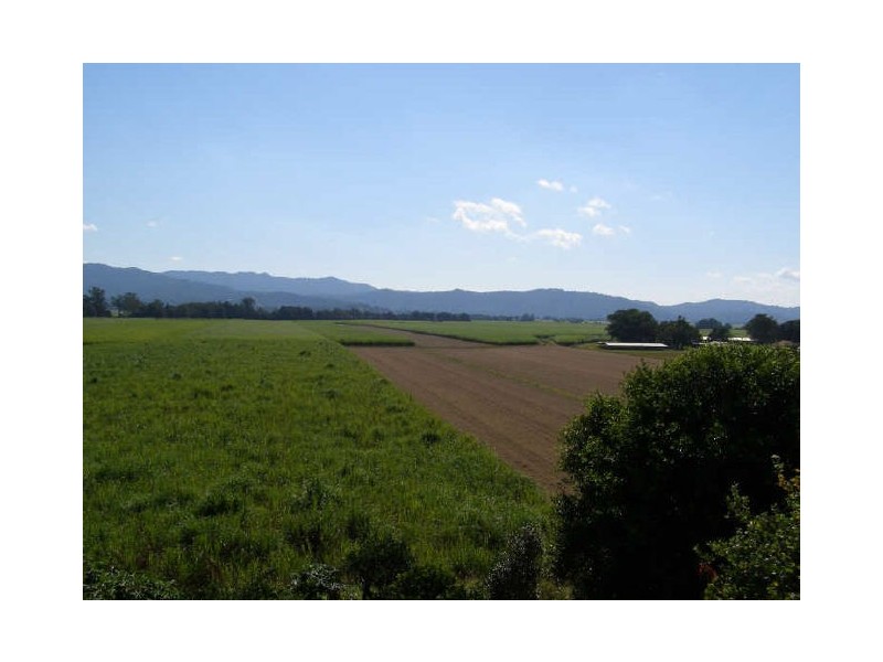 Murwillumbah NSW 2484