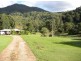 981 Tyalgum Road, Eungella NSW 2484