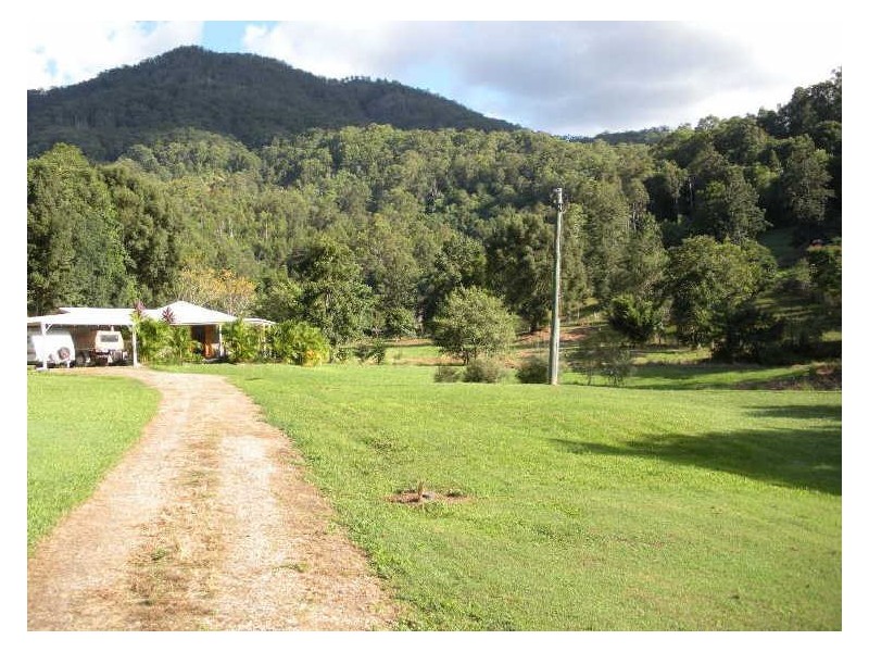 981 Tyalgum Road, Eungella NSW 2484